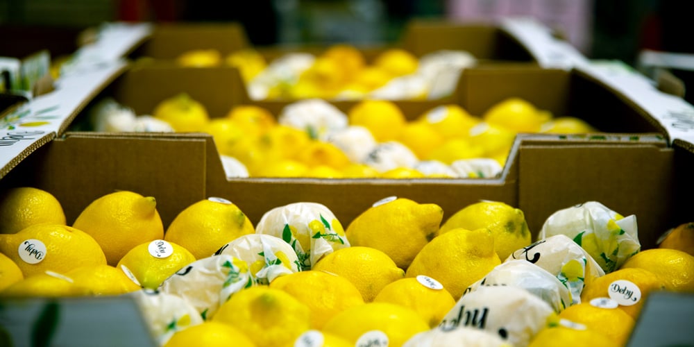 Så kan livsmedelsföretag minska matsvinn